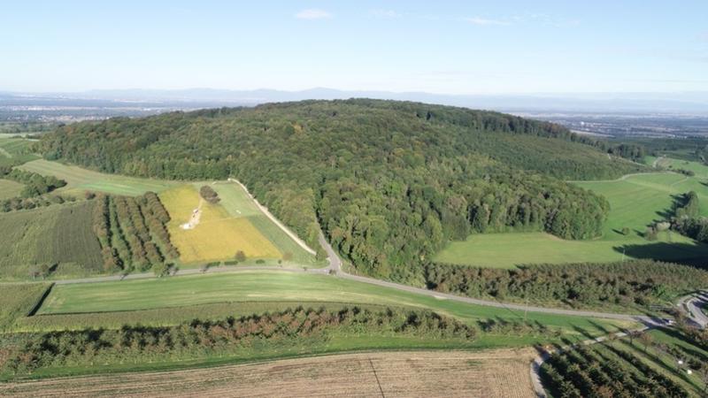 Luftbild mit Blick auf die aktuelle Ausgrabung am „Steinacker“