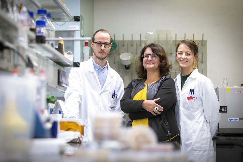 The research team of TU Graz and acib around Gabriele Berg (centre) was able to significantly increase the shelf life of apples using a combined method of HWT and biocontrol organisms