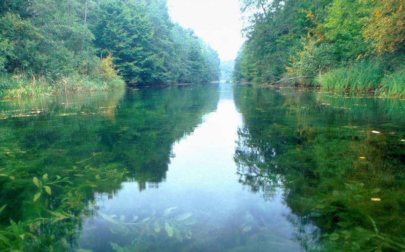 Intakte Flüsse werden von den Deutschen wertgeschätzt.