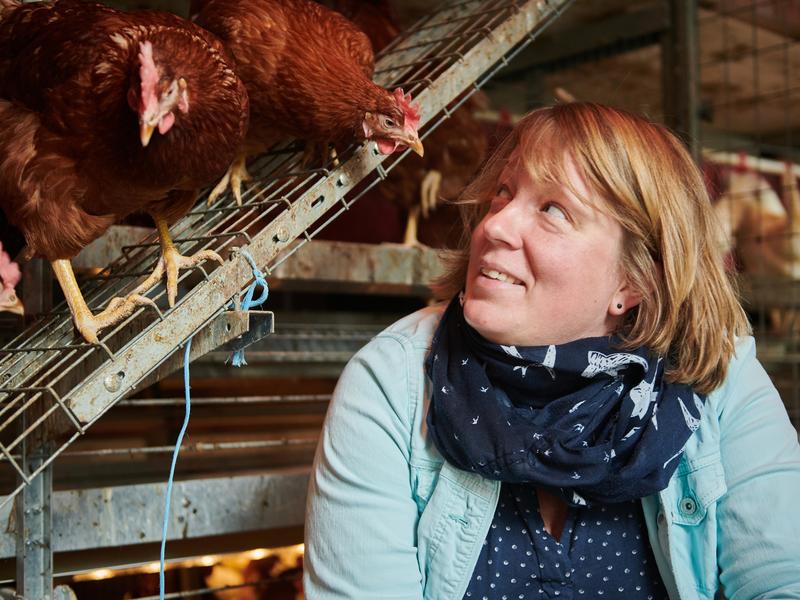 Dr. Inga Tiemann vom Institut für Tierwissenschaften im neuen Hühnerstall der Universität Bonn auf der Lehr- und Forschungsstation Frankenforst in Königswinter-Vinxel. 