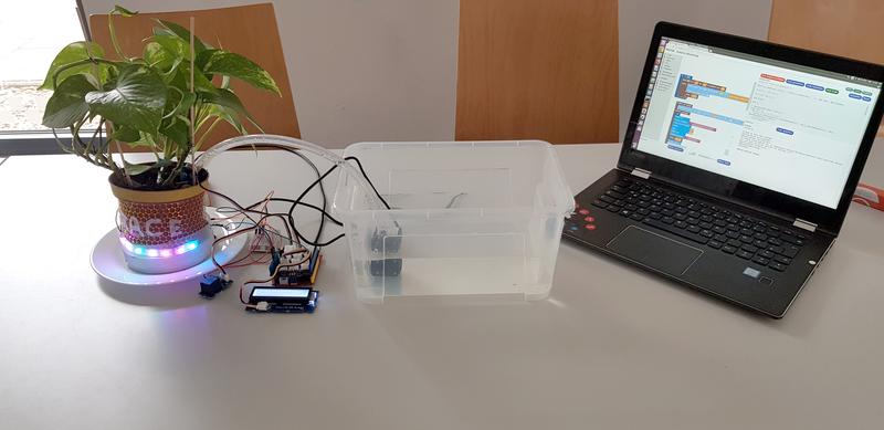 Verschiedene Sensoren und ein Microcontroller wurden während des SMILE Workshops mit einer Zimmerpflanze verbunden und auf einem Laptop programmiert.