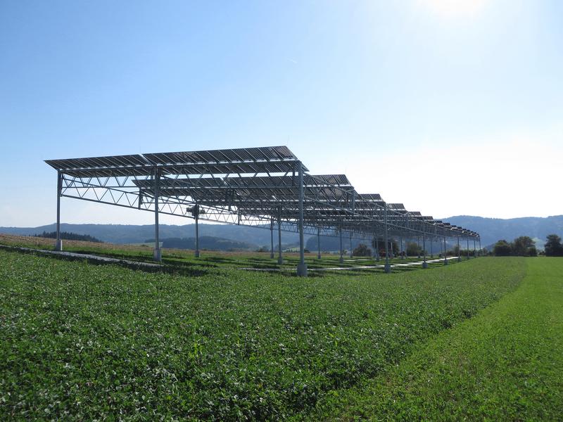 Agrophotovoltaics combines agricultural production and electric energy generation by photovoltaics on the same piece of land. The pilot installation in Heggelbach near Lake Constance is shown here.