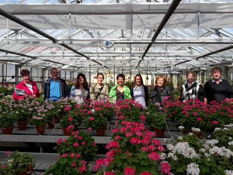 Besichtigung Pelargonium-Sichtungsanbau in der Prüfstelle Dachwig des Bundessortenamtes