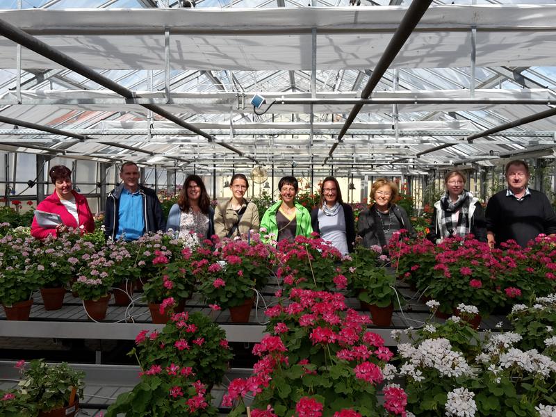 Visit of the Pelargonium cultivation at the test station in Dachwig 
