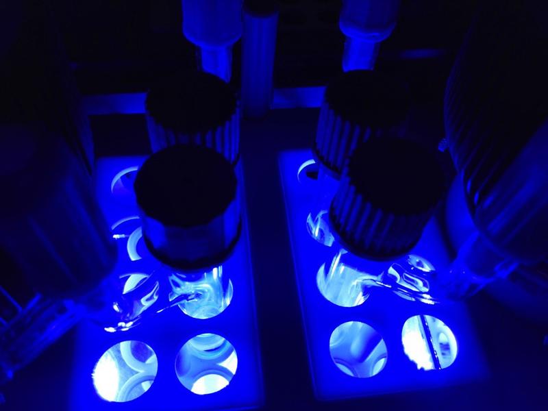 Bei der neuen Methode zur Synthese von Isochinuclidinen überträgt ein Photokatalysator Lichtenergie von blauen LEDs auf ein Substrat.