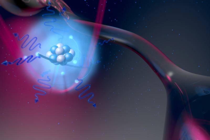 Entlang einer sehr dünnen Glasfaser lassen sich mit Laserlicht einzelne Atome fangen. 