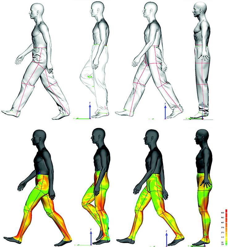 Das Computermodell zeigt, wie sich eine Stoffhose beim Gehen bewegt (oben). Die Farbe zeigt die Dicke der Luftschicht zwischen Körper und Hose an (unten). 
