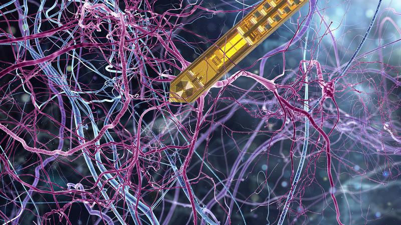 Illustration of the nuclear magnetic resonance (NMR) needle in the brain tissue