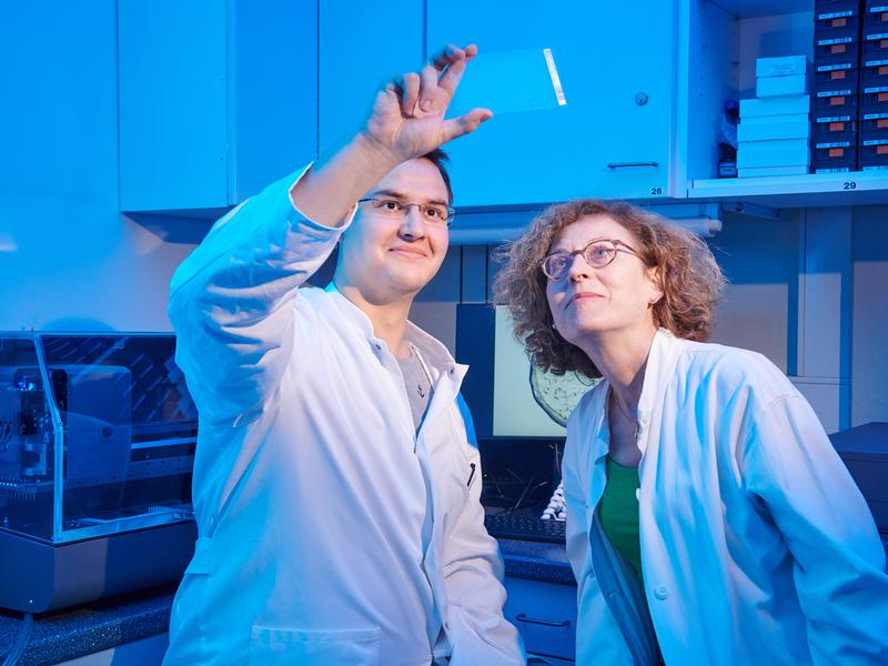 Tobias Claff and Prof. Dr. Christa Müller from the University of Bonn are looking at a glass sandwich plate on which the opioid receptor crystals form. 