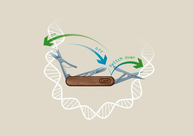 CRISPR-Switch technology. 