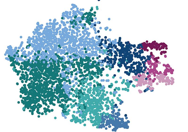 Einzelzellanalyse von Mikrogliazellen: Jeder Punkt zeigt eine Zelle und die Farben signalisieren verschiedene Gruppen von Mikrogliazellen, wie sie im menschlichen Gehirn vorkommen.