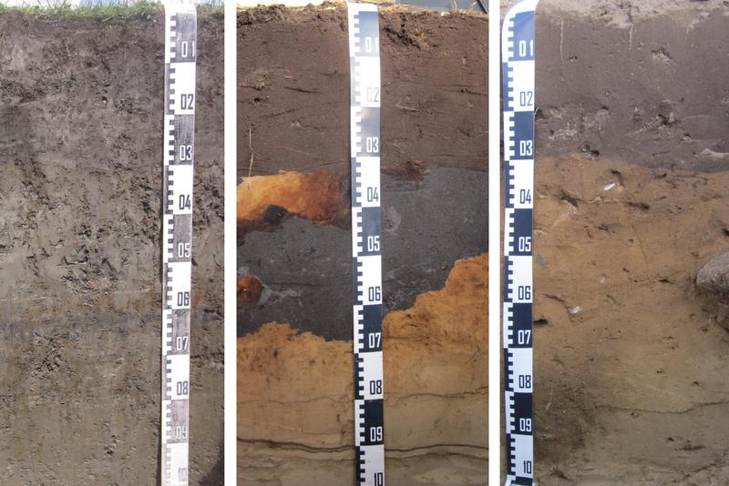 Beispiele für Böden in Deutschland: Marschboden im Landkreis Dithmarschen, Zebraboden (Treposol) im Landkreis Emsland, Braunerde im Landkreis Stade