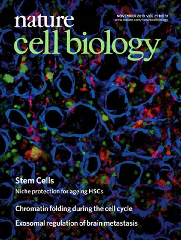 Eine konfokalmikroskopische Aufnahme aus dem Projekt schmückt die November-Ausgabe von Nature Cell Biology 