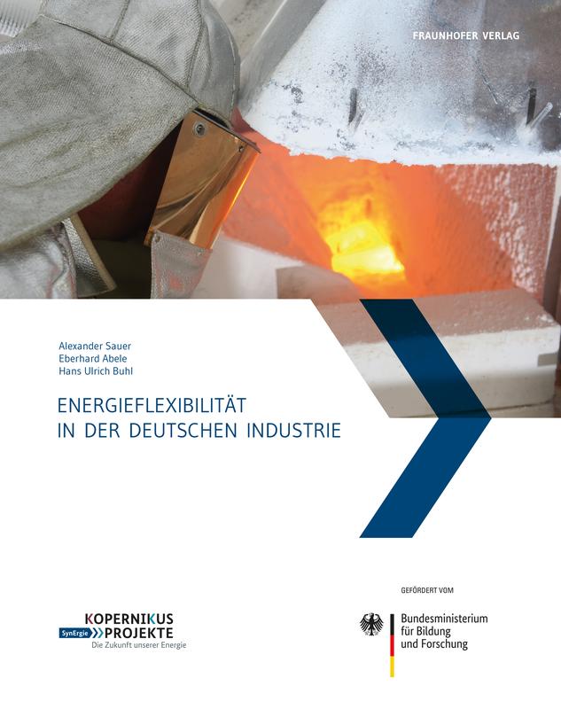 Die Forscher haben in ihrem Buch 8 Wirtschaftszweige beleuchtet und unter anderem über 40 energetische Flexibilitätsmaßnahmen in der deutschen Automobilindustrie beschrieben.