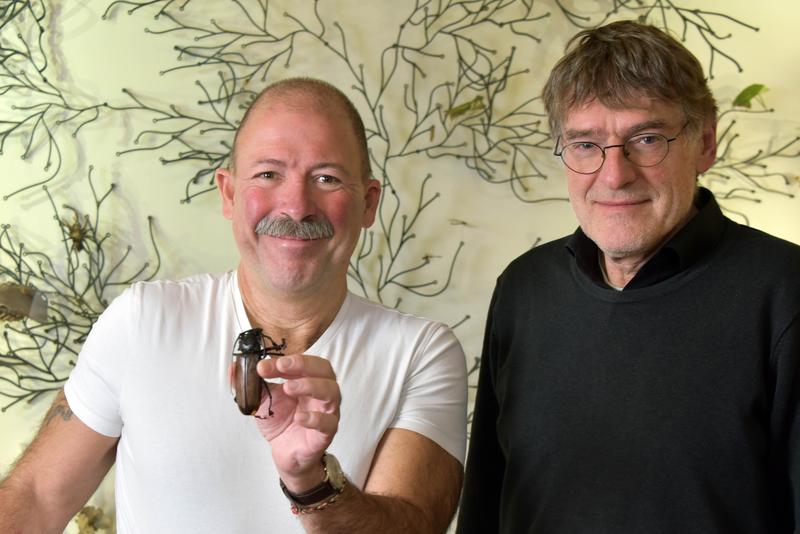 Rolf Beutel (l.) und Hans Pohl von der Universität Jena gehören zum Forschungsteam, das die Evolutionsgeschichte der Insekten nachzuzeichnen versucht.