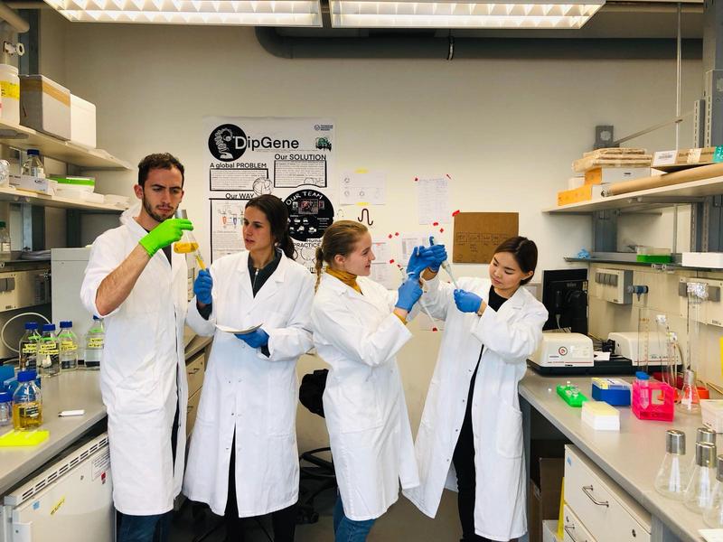 Spending time in the lab: the DipGene project in the making