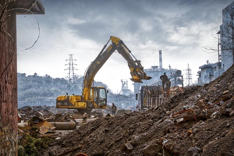 In a rapidly urbanizing world, the conversion of natural habitats into urban areas leads to a significant loss of biodiversity in cities.