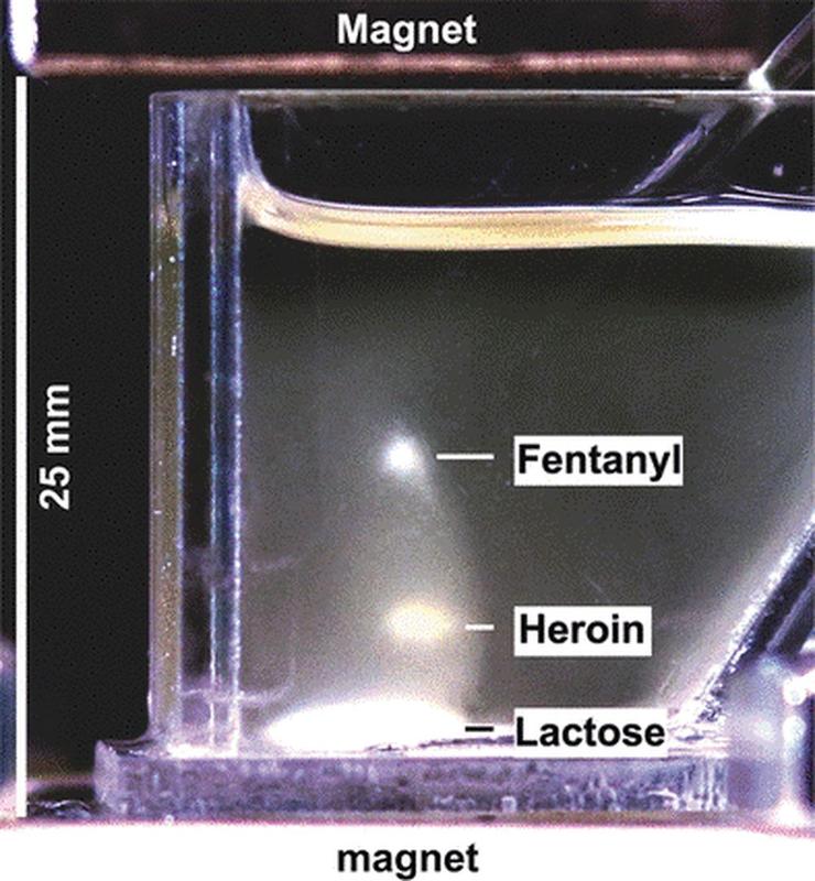 Mittels magnetischer Levitation lassen sich Pulvergemische in einzelne Fraktionen auftrennen. So können illegale Substanzen schnell identifiziert werden.