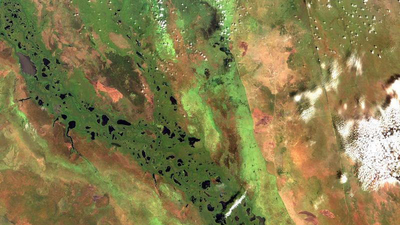 Aerial image of the Sudd wetlands in South Sudan