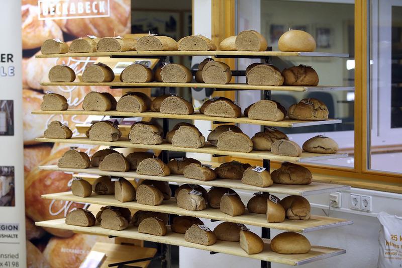 Identical recipes were used to bake breads from different wheat varieties which were then sampled. Already the external appearance of each of the breads varies considerably.