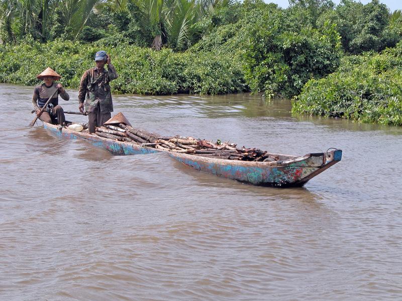 Boot mit einer Ladung Mangrovenholz in der Segara Anakan Lagune, Indonesien 