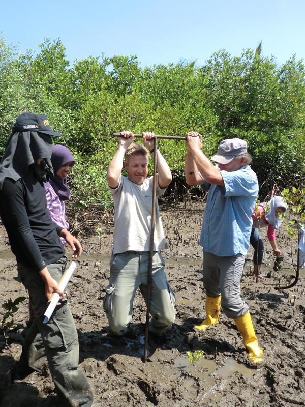 Entnahme eines Sedimentbohrkerns, hier am Ufer der Segara Anakan Lagune, Indonesien 