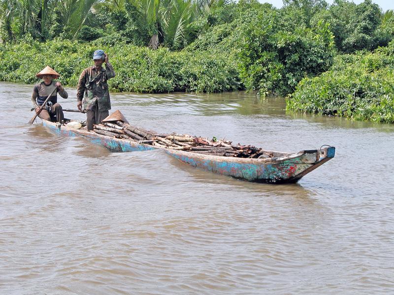 Boat with a load of mangrove wood in the Segara Anakan Lagoon, Indonesia 