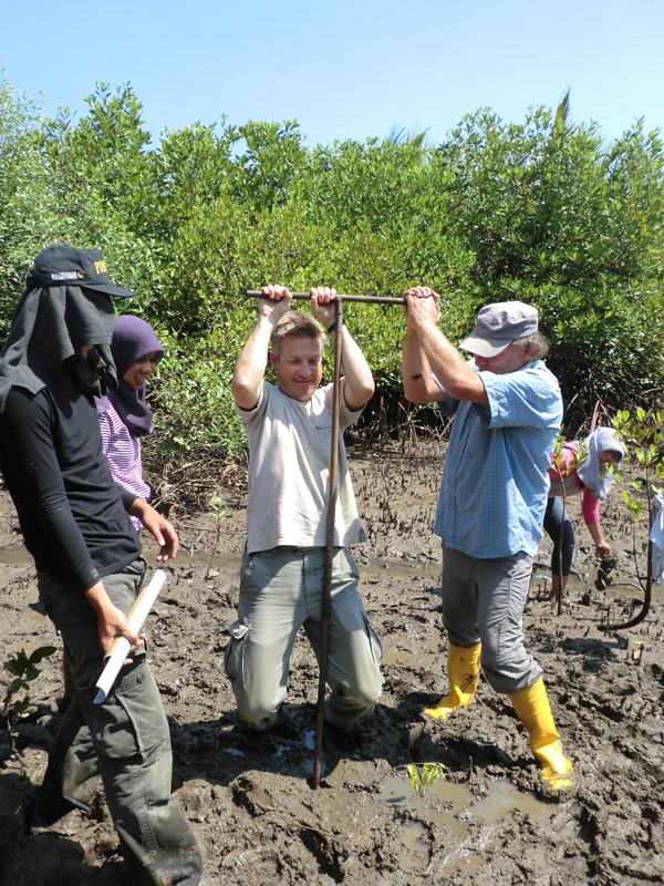 Removal of a sediment core, here on the shore of the Segara Anakan Lagoon, Indonesia 