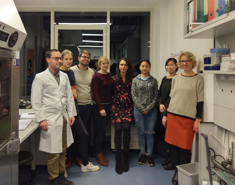 Die Marburger Arbeitsgruppe von Magdalena Huber (ganz rechts) enthüllte zusammen mit Wissenschaftlerinnen und Wissenschaftlern aus aller Welt, wie ein Medikament gegen Multiple Sklerose wirkt.