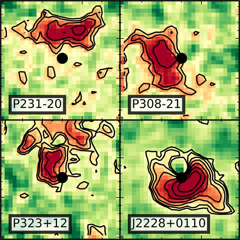 Rekonstruierte Bilder, die die Vielfalt der Verteilung von Wasserstoffgas (schwarze Konturen und rote Farben) in der Nähe von vier hochrotverschobenen Quasaren und ihren Wirtsgalaxien zeigen