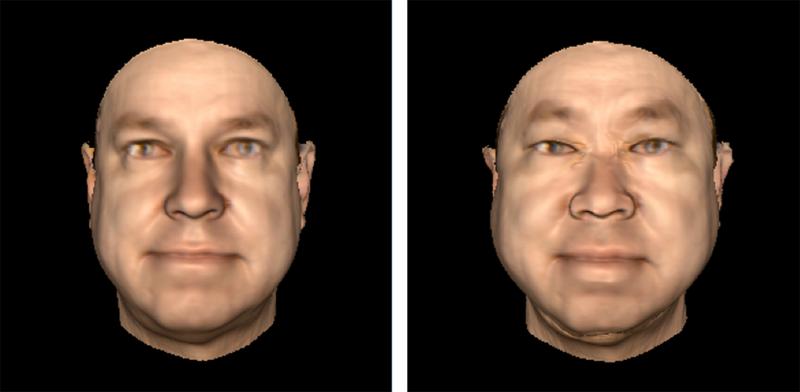 Veränderung ethnischer Anteile in einem Gesicht an einem Beispiel