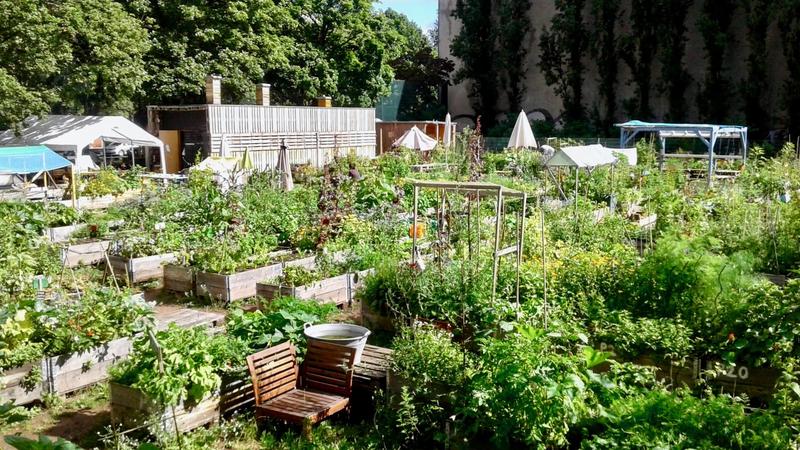 Der Gemeinschaftsgarten Himmelbeet im Berliner Stadtteil Wedding