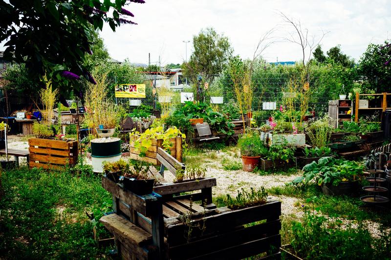 Der Stuttgarter Gemeinschaftsgarten Inselgrün vor dem Umzug