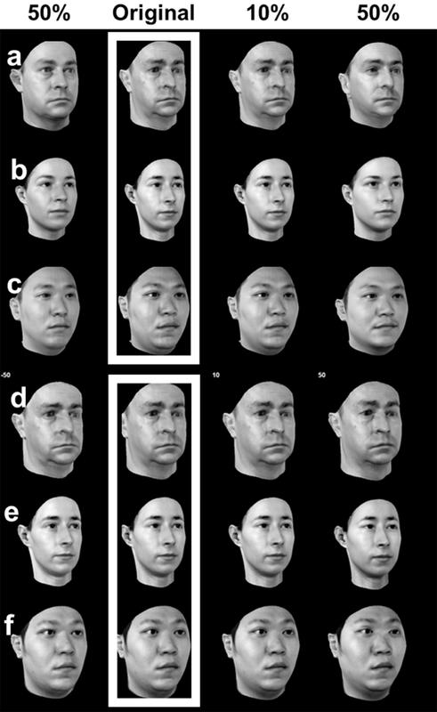 Example of a test sample: Each row shows 4 of 11 variations of a face presented to the subjects at the same time. The percentages refer to how much a face differs from the original. 