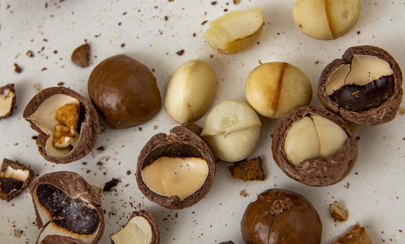 Macadamia nuts and nut kernels. 