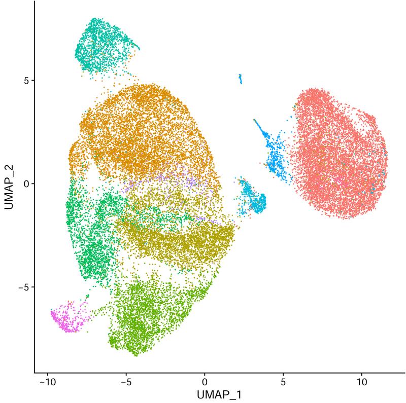 Ergebnis einer Einzelzellsequenzierung von Immunzellen aus einem Hirntumor. Die Zellen wurden mithilfe bioinformatischer Methoden unterschiedlichen farbkodierten Clustern zugeordnet.