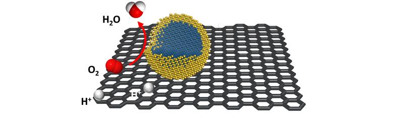 Core-shell nanoparticles for the electrocatalytic oxygen reduction reaction - the cathode reaction in a fuel cell.