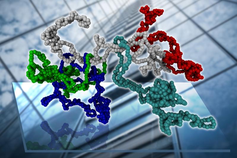 Ring molecules (differentiated by colors) exhibit mutual threadings that inhibits their motion and renders the glass.