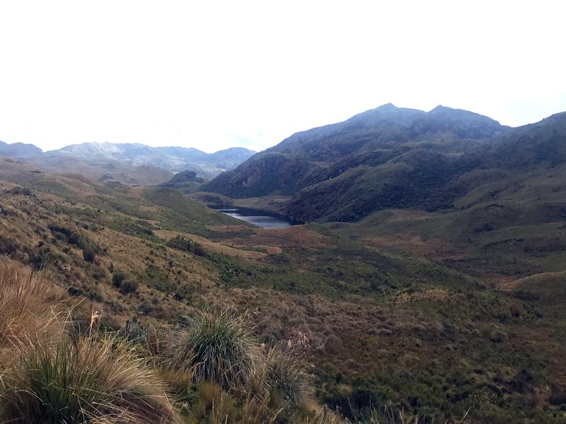 In den Höhenlagen Ecuadors kommt der „Páramo“ vor, eine Hochlandsteppe mit vereinzelten Waldbereichen. 