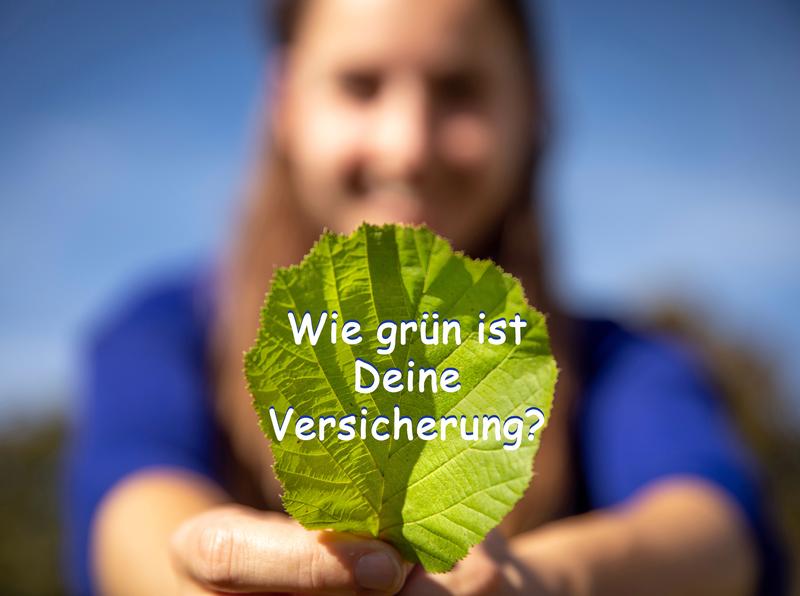 Spezielle Versicherungen sollen in einem DBU-geförderten Projekt der „Greensurance Stiftung | Für Mensch und Umwelt“ nach ihrem Beitrag zu Umweltschutz und Nachhaltigkeit verglichen werden. 