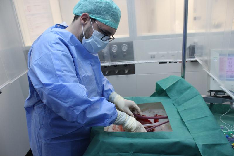 A surgeon connects the donor liver to the perfusion machine.