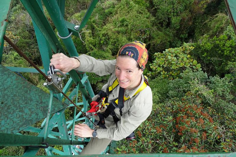 Die Marburger Naturschutzbiologin Dr. Katrin Heer beim Aufstieg auf einen der Beobachtungstürme im ecuadorianischen Bergregenwald. 