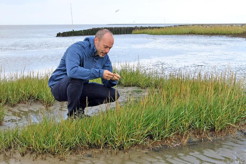 Tobias Pfingstl bei der Feldforschung in Japan: Der Biologe hat mit seinem Team Biodiversität und Klimawandel untersucht.