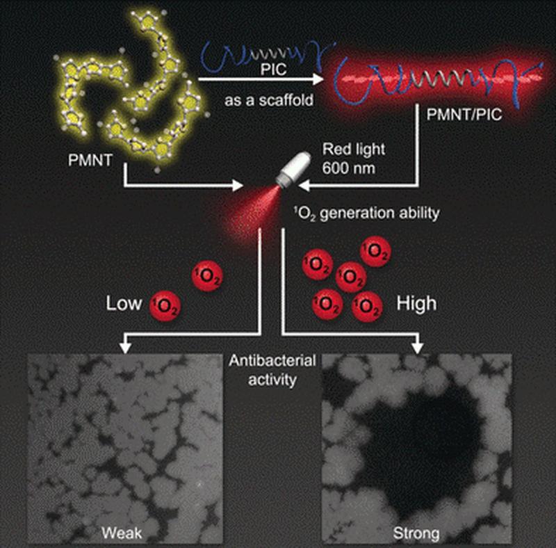 Wird das Hydrogel mit rotem Licht bestrahlt, produziert es reaktive Sauerstoffspezies. Diese töten Bakterien und Pilze ab.