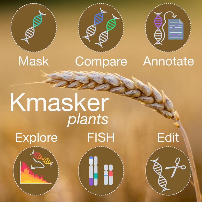 Was kurze Sequenzstücke (k-mer) verraten. Anwendungen und Methoden des bioinformatischen Tools „Kmasker plants“ zur Analyse von Sequenzdaten. 
