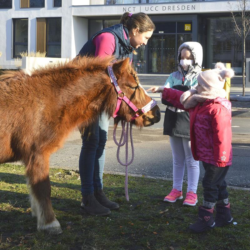 Auf Tuchfühlung mit Therapiepferd Checksy, das von Pferdetherapeutin Ina Haue geführt wird: Die fünfjährige Sarah und die drei Jahre alte Erisa vor dem Gebäude des  NCT/UCC.