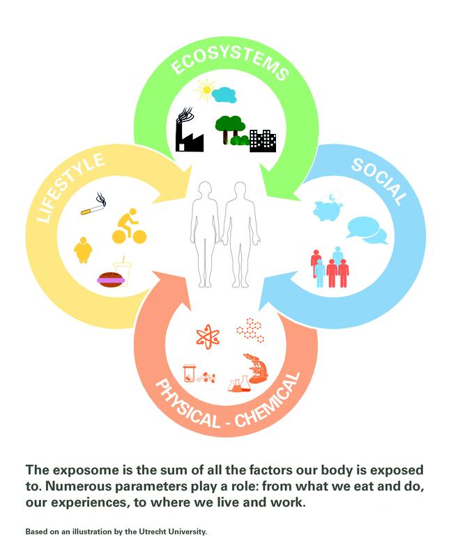 Exposome illustration