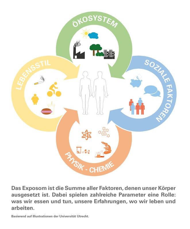 Exposome illustration