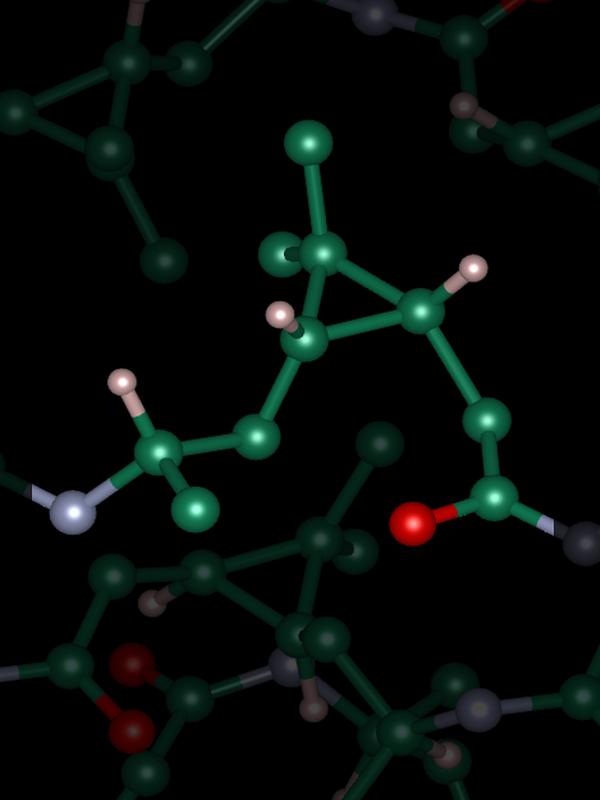 Monomeric unit of poly-3S-caranamide, the new bio-based polyamide. 