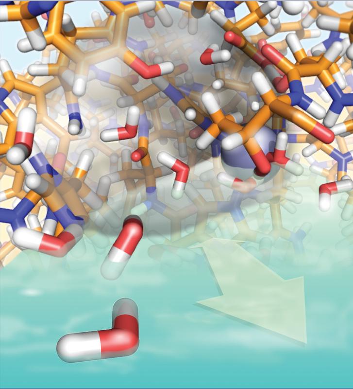 Das Fachmagazin Journal of the American Chemical Society zeigt das aktive Zentrum des von Prof. Linser untersuchten Enzyms auf der Titelseite.